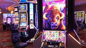 mega betting
